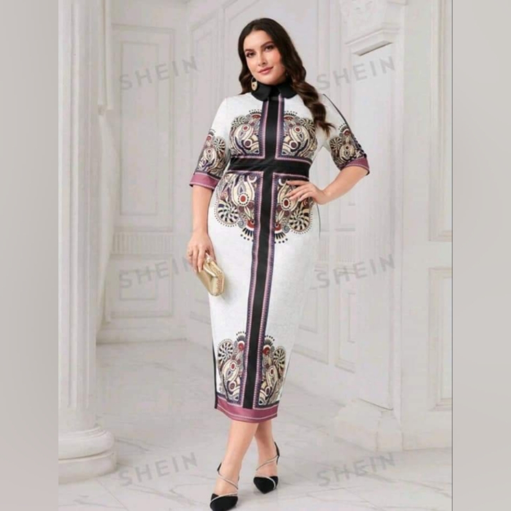 Elegant Print Classy Dress